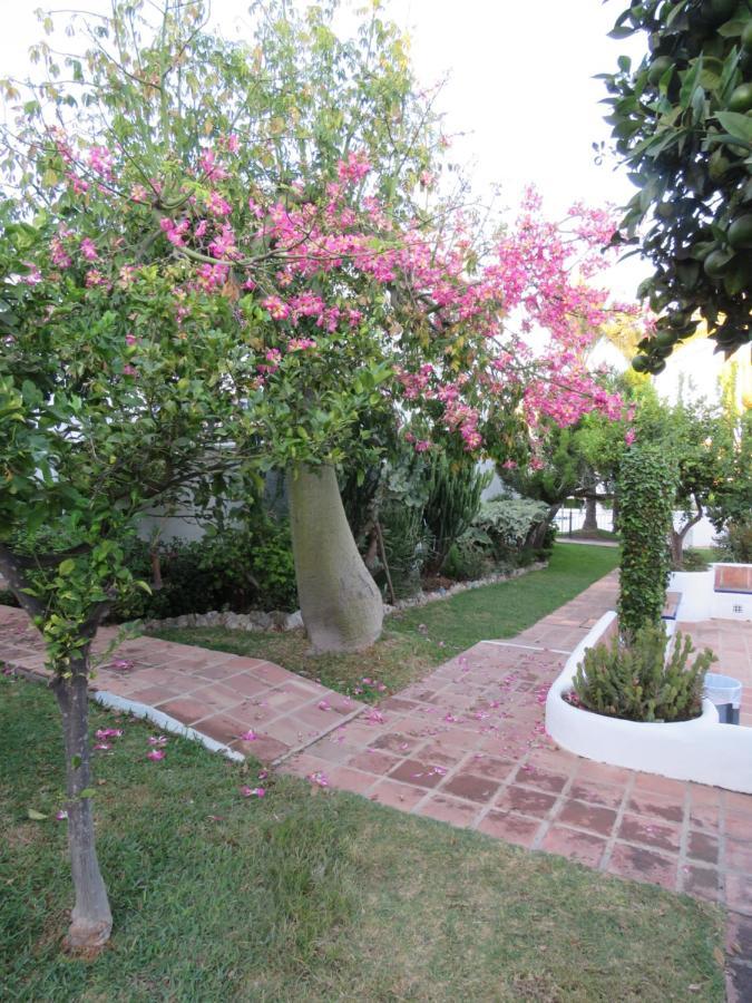 Apartamento Bien Situado En Μαρμπέλλα Εξωτερικό φωτογραφία